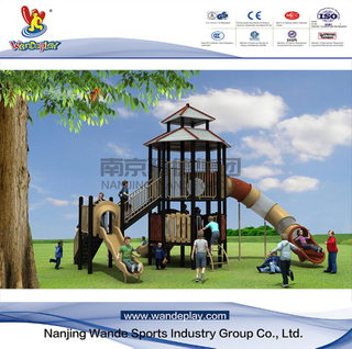 Outdoor pavilion playset for youth with slide and ladder
